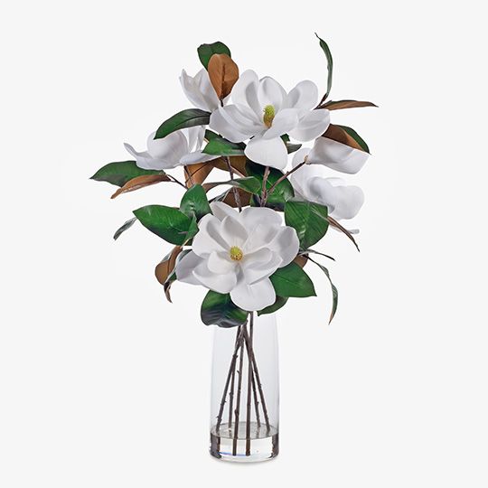 Magnolia Grandiflora Mix in Vase