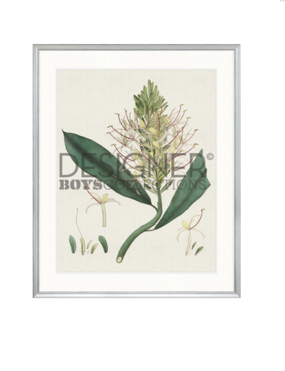 LIBERTY SILVER EXOTIC GARDEN I